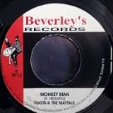 TOOTS + THE MAYTALS - MONKEY MAN